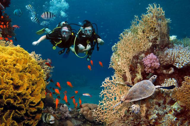 Diving in Bunaken